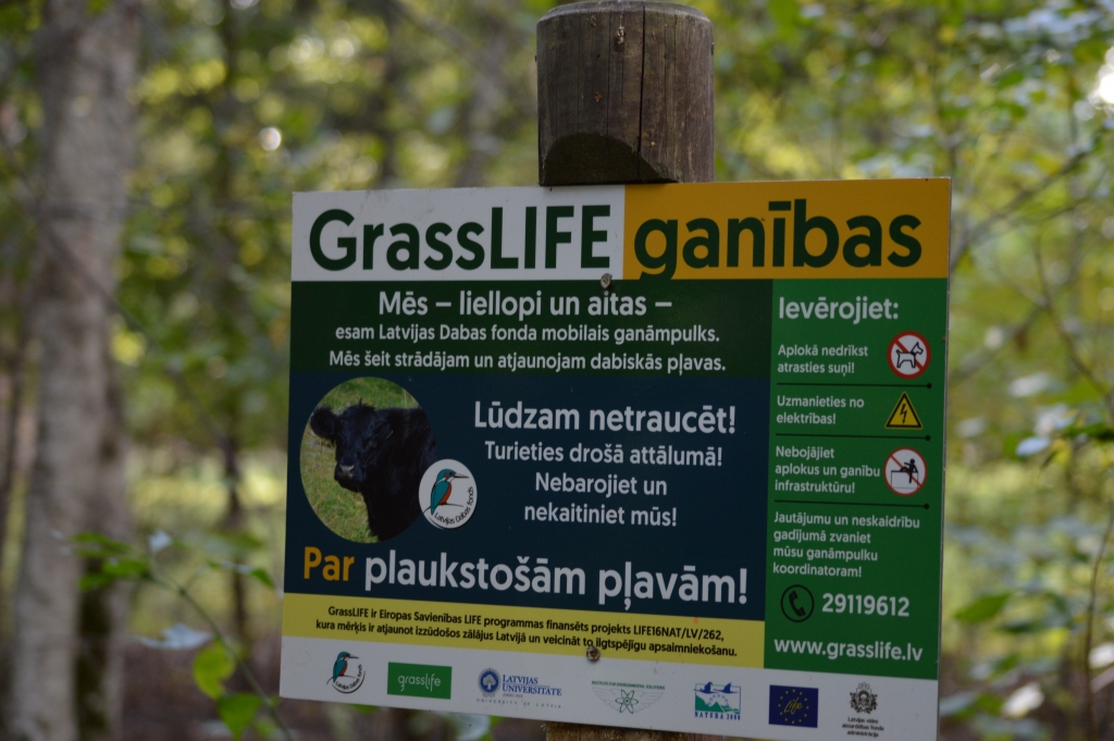 Mobilais ganāmpulks ir viena no Latvijas Dabas fonda projekta “GrassLIFE” aktivitātēm.