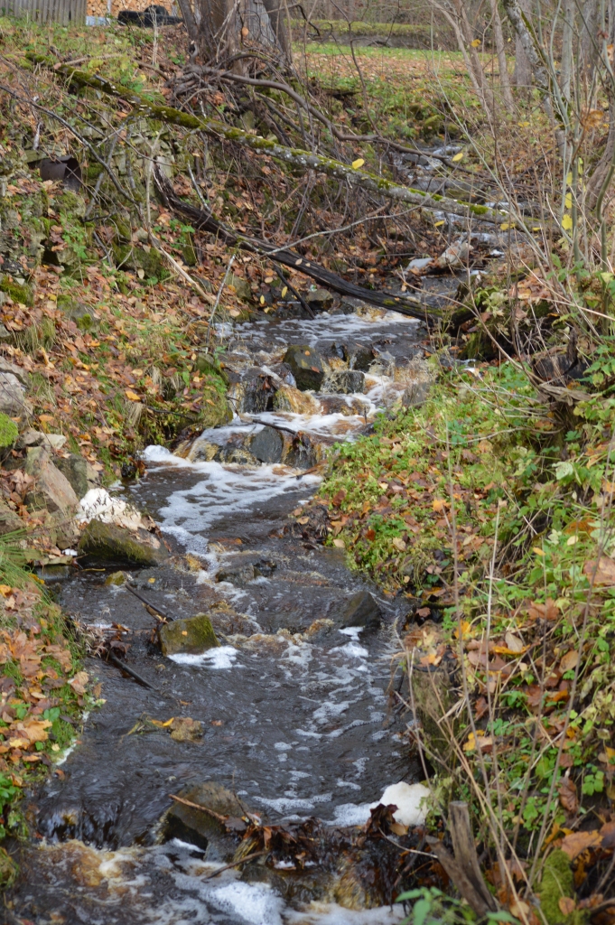 Gaujienai cauri tek Alkšņupīte, kurai ir izveidojušās divas kritenes – ūdensrijēji, kur upes ūdens pēkšņi iekrīt dolomīta plaisā līdz pazemes ūdens slānim.