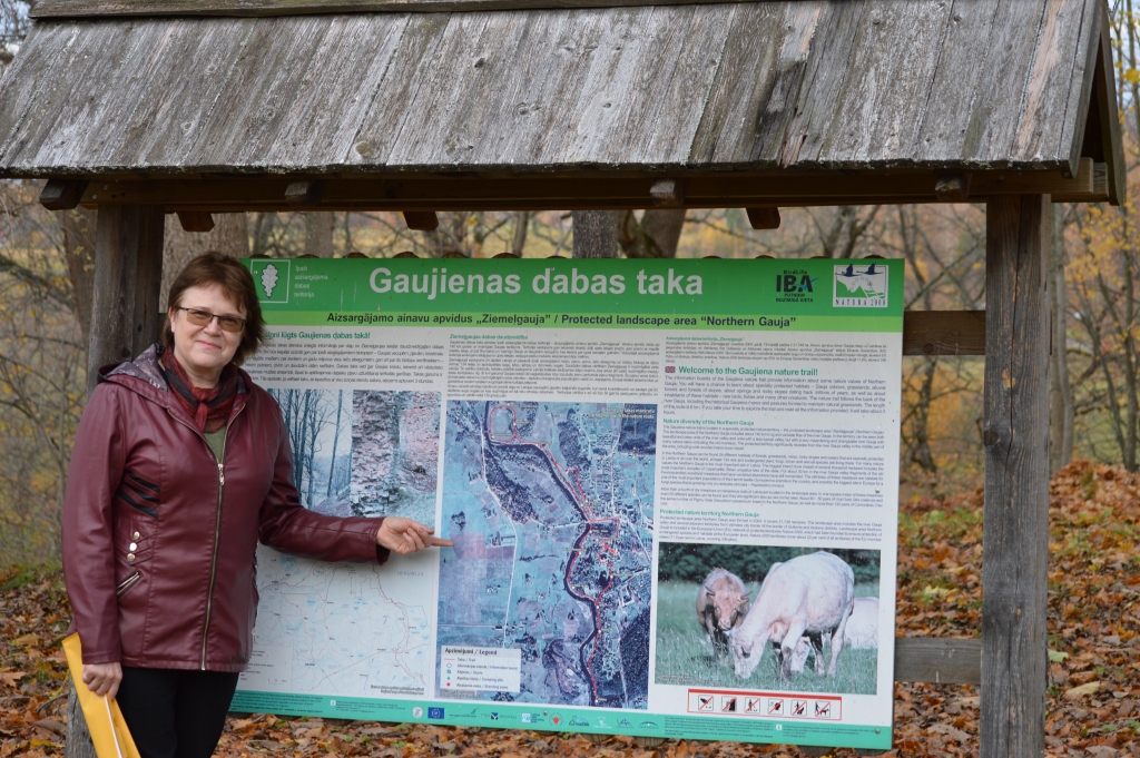 Lai Gaujienas dabas un kultūrvēstures vērtības redzētu arī tūristi, ciematā un tā apkārtnes mežos un pļavās izveidota dabas taka sešu kilometru garumā. “Te ir tik daudz dabas vērtību, ka par tām varētu stāstīt visu dienu,” teic gaujieniete Ineta Riepniece.