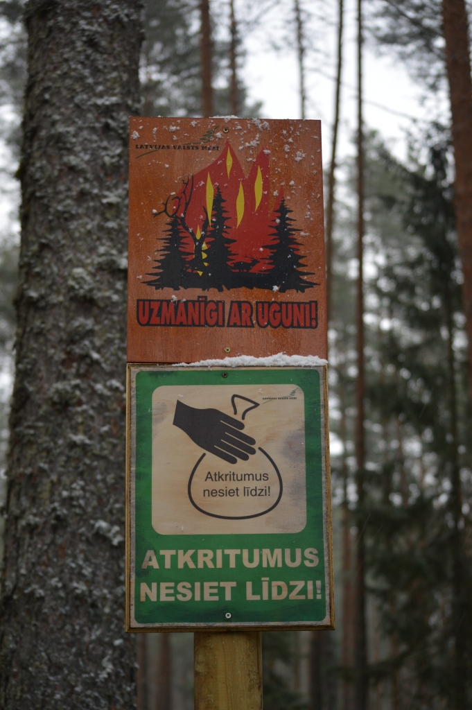 LVM atgādina, – mežs ir nepiemērotākā sadzīves atkritumu izmešanas vieta. Atpūtas vietās izlikajām tvertnēm ir speciāli vāki, lai to saturam netiktu klāt meža zvēri.