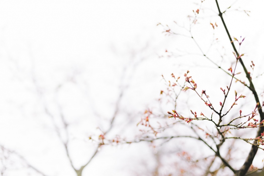 Autors: unsplash.com
