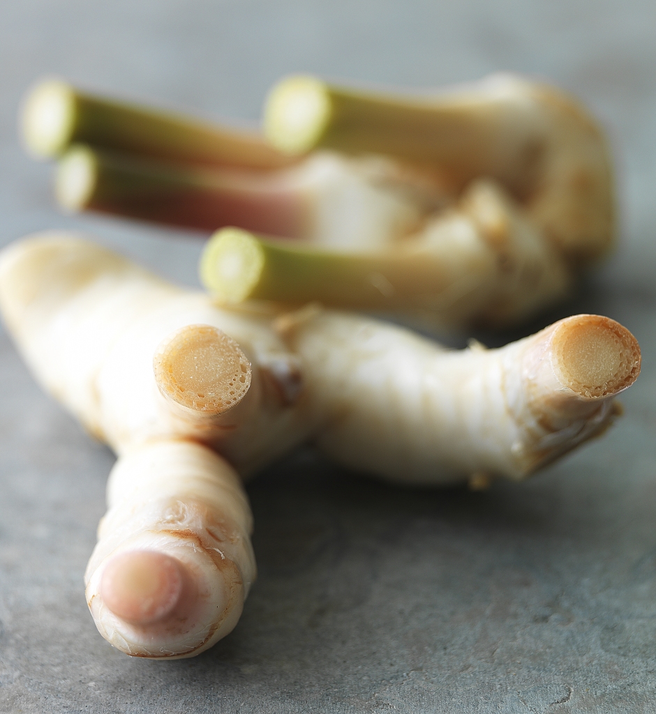 Galangal sakne - Ķīnas ingvers.