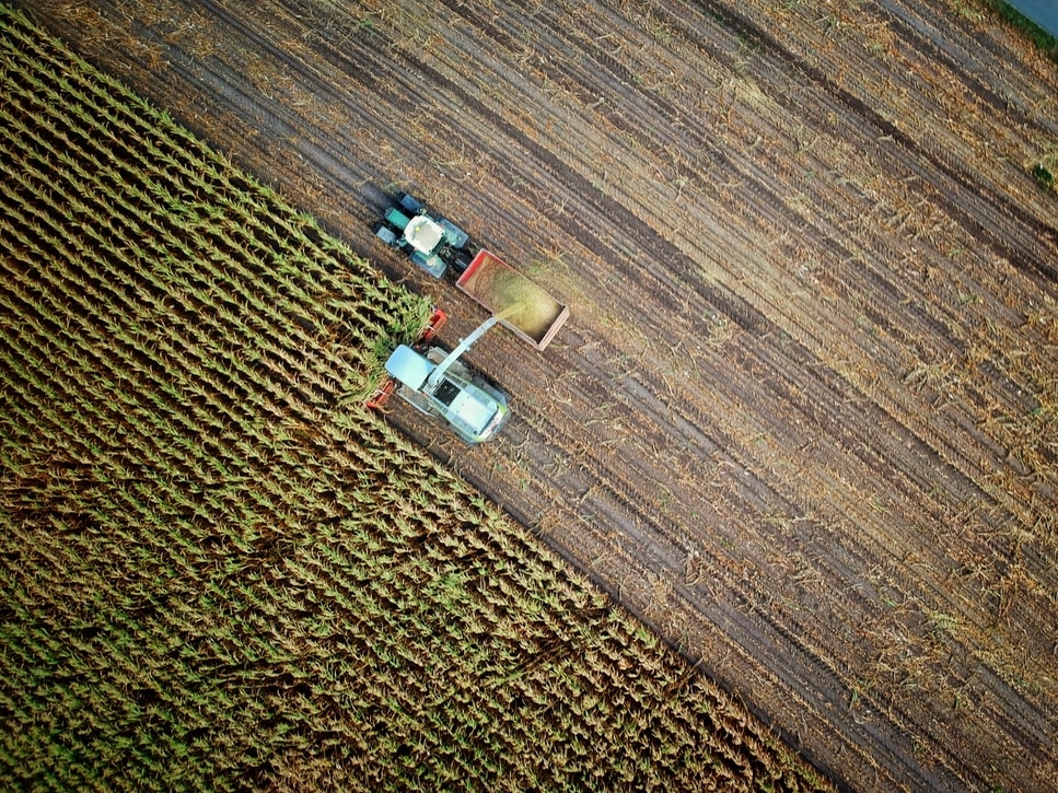 Autors: unsplash.com