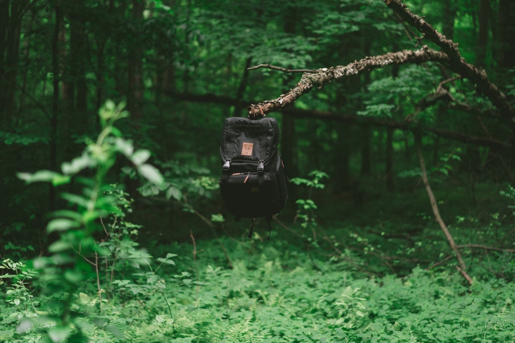 Autors: unsplash.com