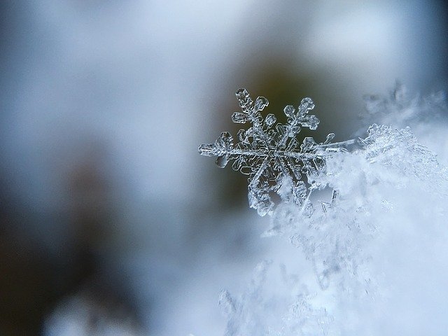 Autors: pixabay.com