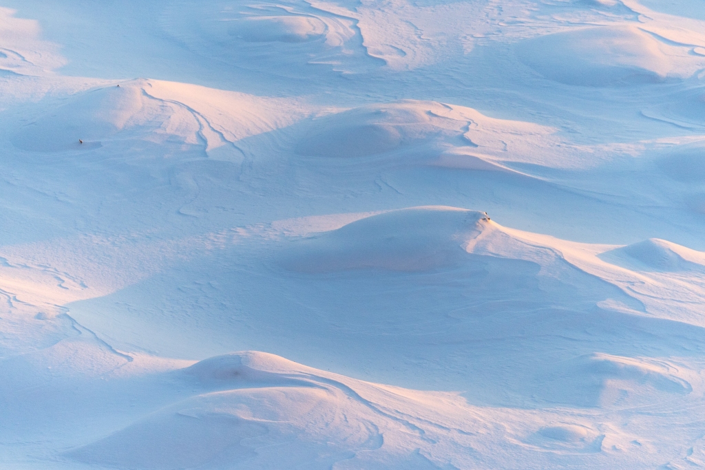 Autors: unsplash.com