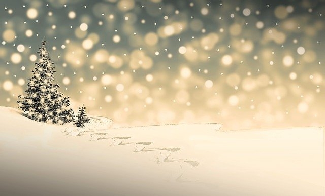 Autors: pixabay.com