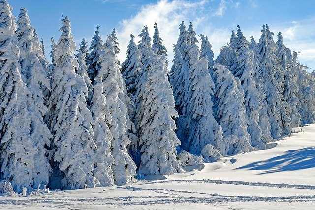 Autors: pixabay.com