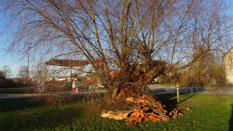 Autors: valmiera.lv