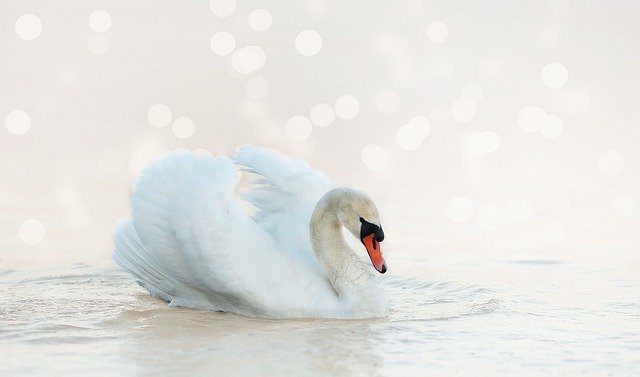 Autors: pixabay.com