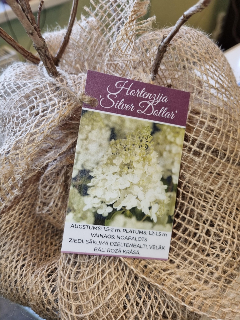 Autors: Līga Orleana