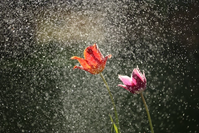 Autors: unsplash.com