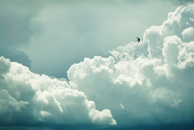 Autors: pixabay.com