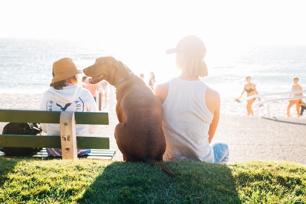 Autors: unsplash.com