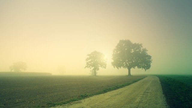 Autors: pixabay.com