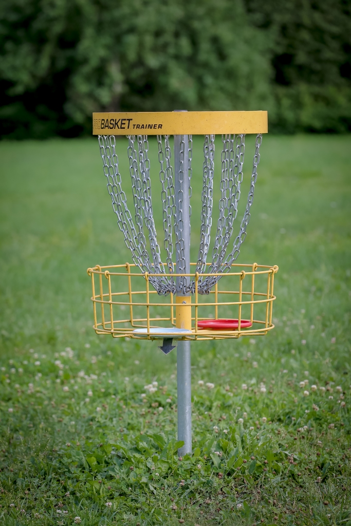 Līdz šim Palsmanes disku golfa parkā “Palsa” bija deviņi grozi. Startējot Smiltenes novada pašvaldības projektu līdzfinansēšanas konkursā, biedrība “Sporta draugu klubs PALSA” ieguva finansējumu, kā rezultātā iegādājās vēl četrus grozus. Tas dos iespēju paplašināt laukumu un rīkot augstāka mēroga sacensības. 