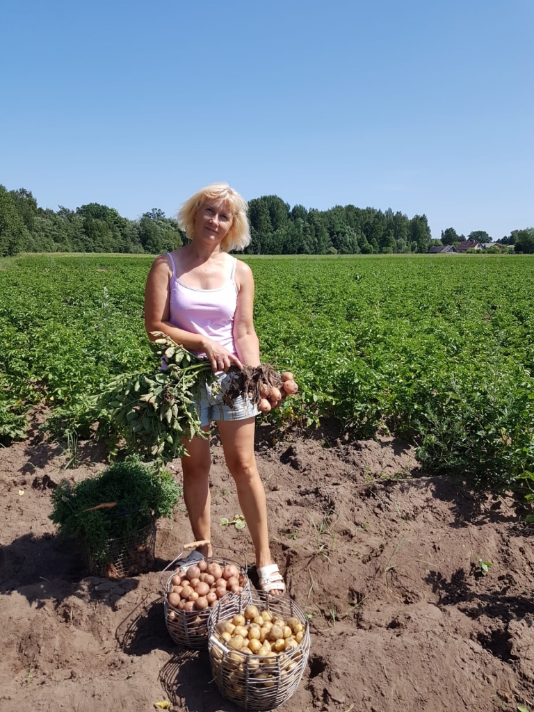 Dārzeņu audzētāja Sandra Eimane priecājas, ka vēlo šķirņu kartupeļu lauki paspēja noziedēt, pirms tur uzlidoja vaboles. 
                                                                     
Autors: no Sandras Eimanes personīgā arhīva