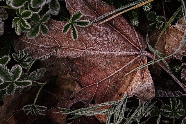 Autors: pixabay.com
