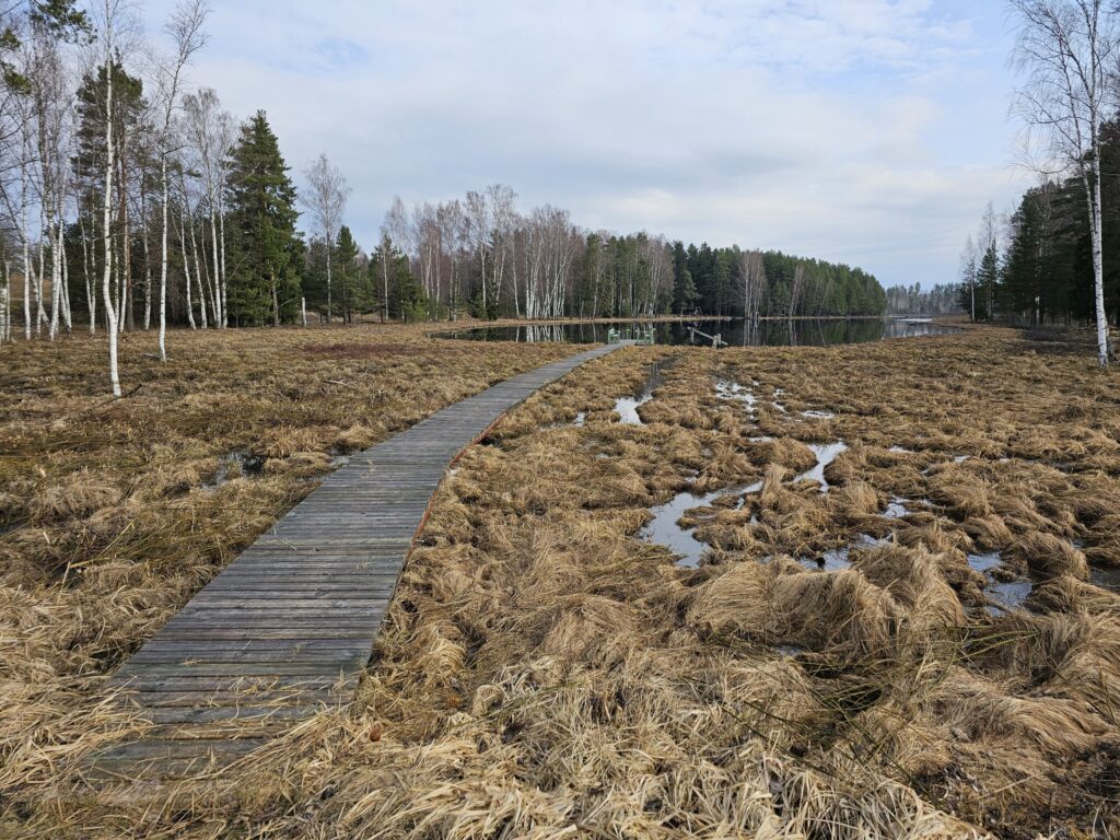 Bilska
