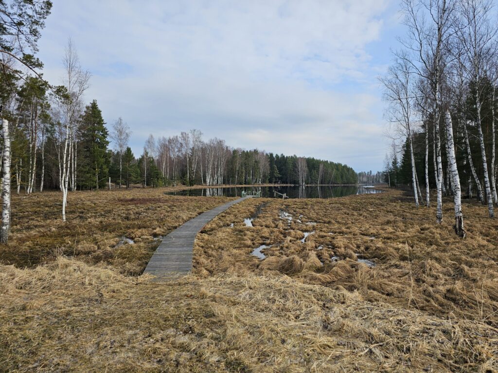 Bilska