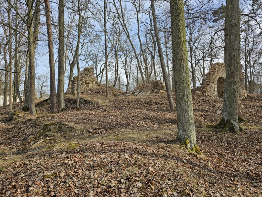 Gaujiena