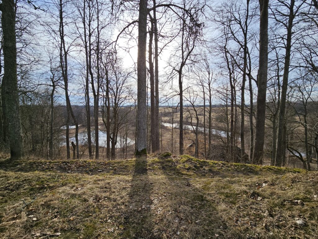 Gaujiena