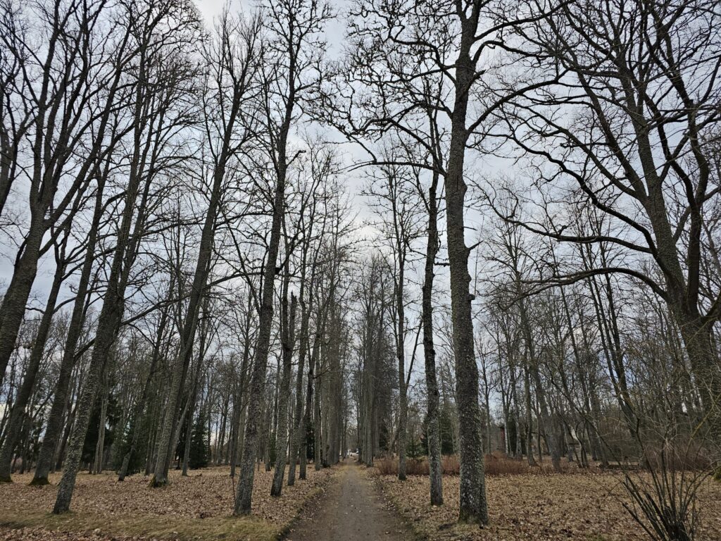 Palsmane