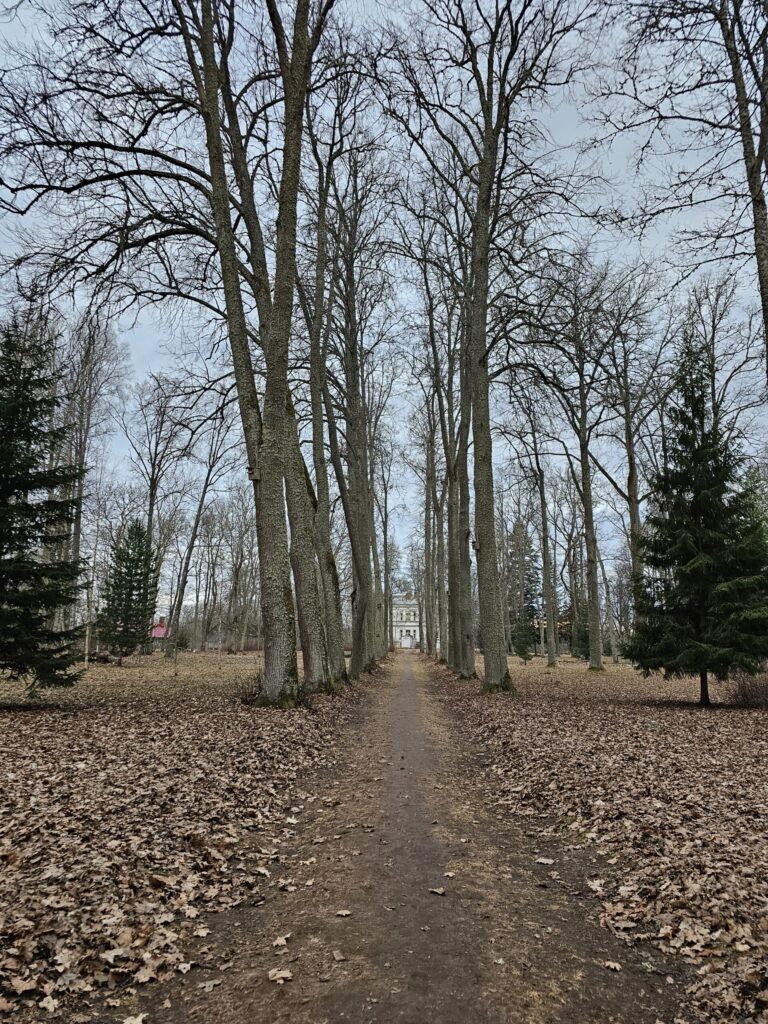 Palsmane