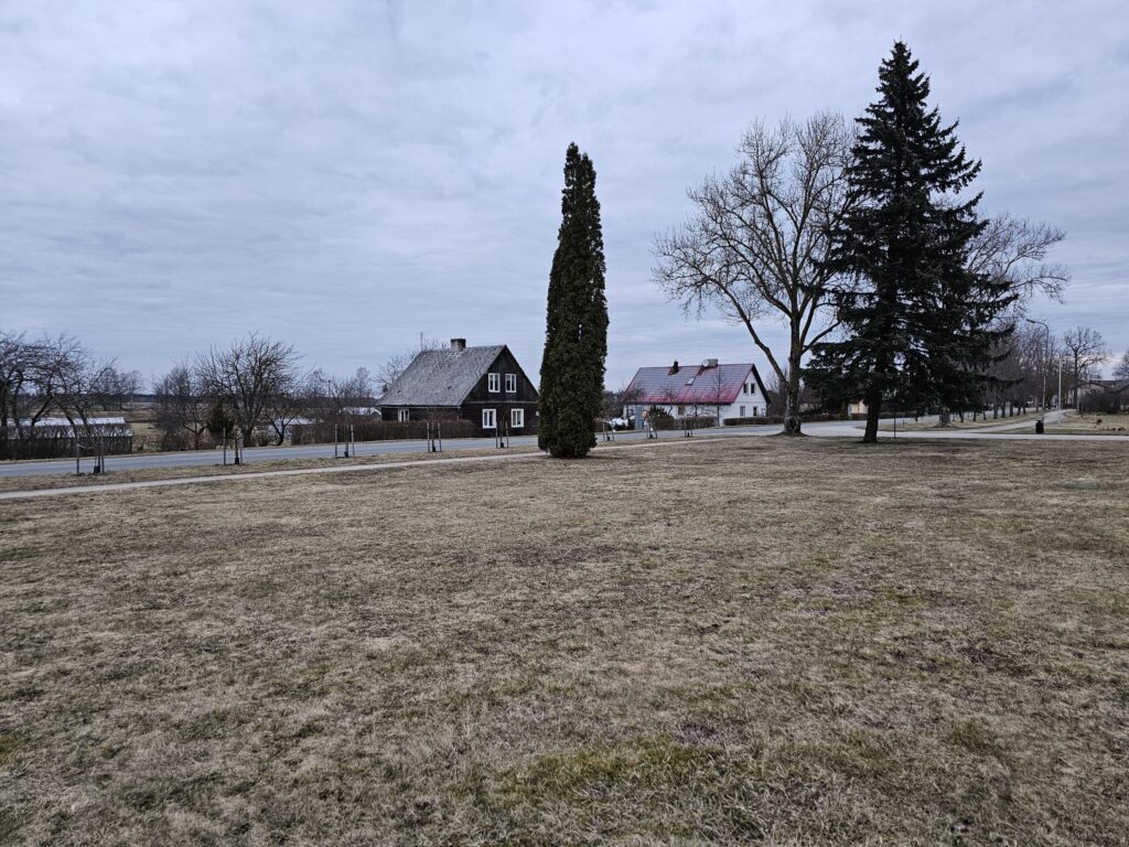 Variņi