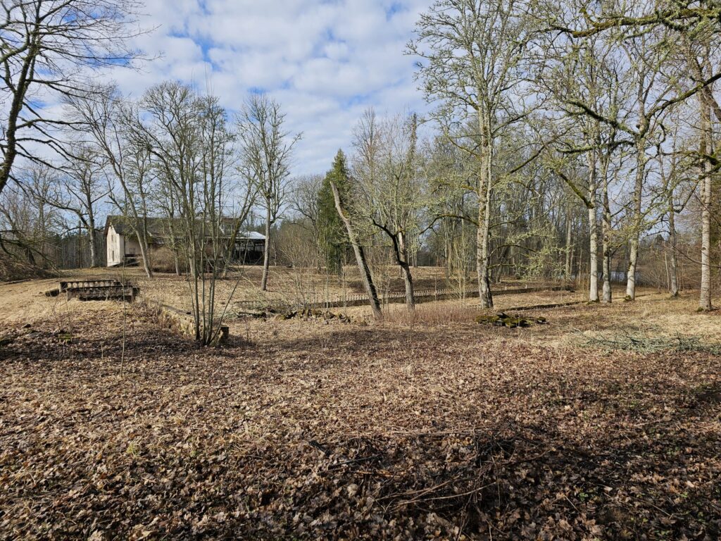 Aumeisteri