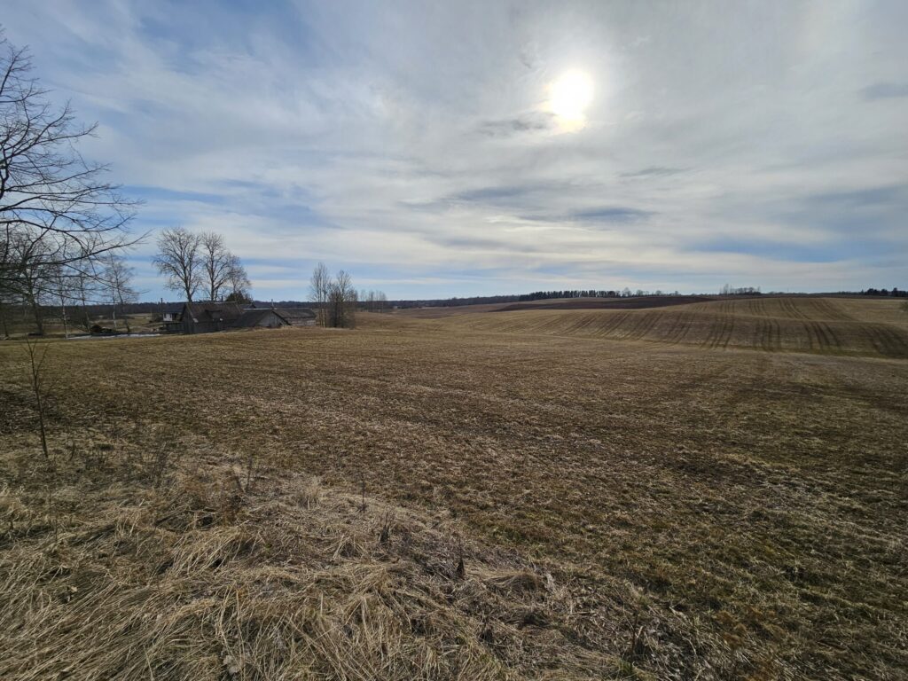 Kalnaine