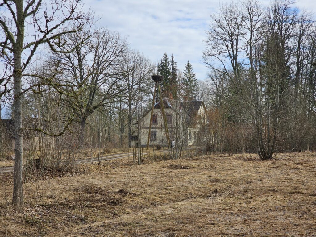 Aumeisteri