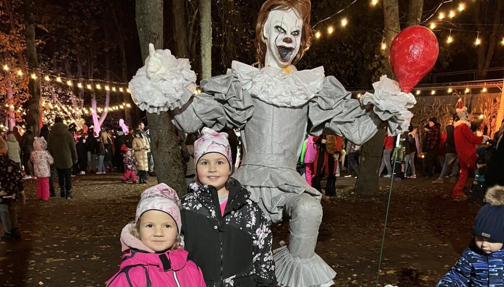 Aluksniesiem.lv raksta attēla aizvietotājs